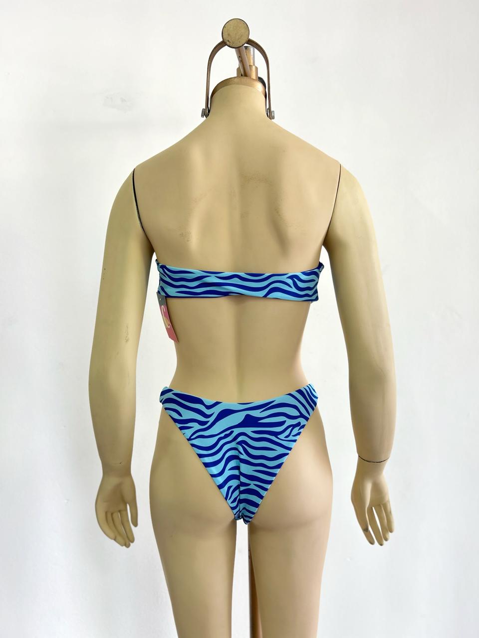 Bikini De Dos Piezas
