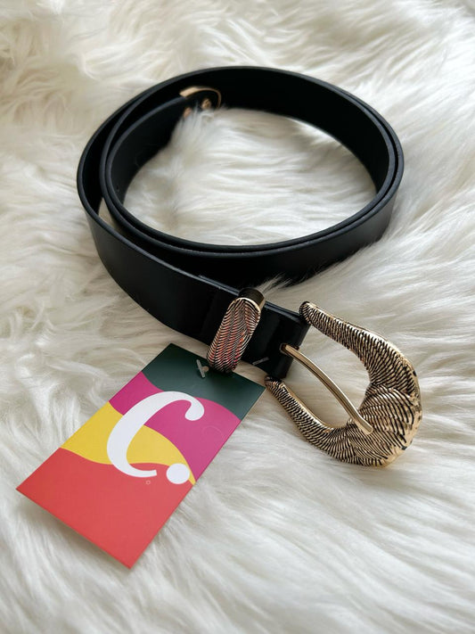 Cinturón occidental