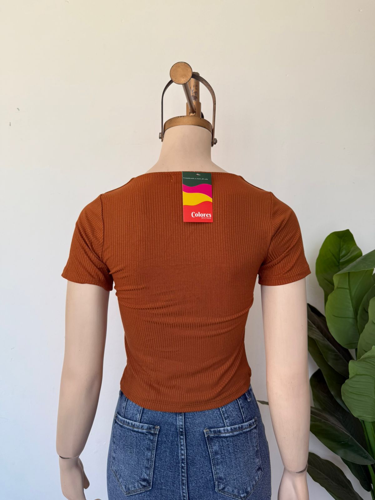 Polo monica