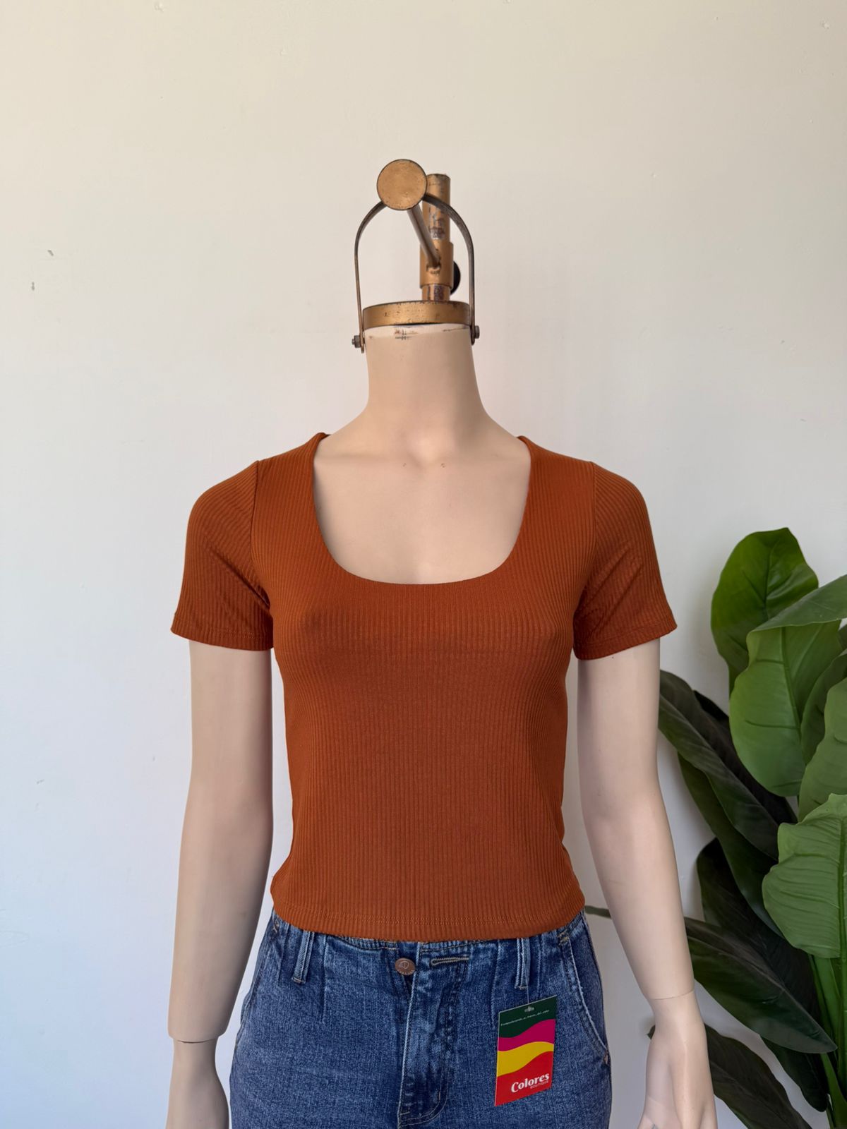 Polo monica