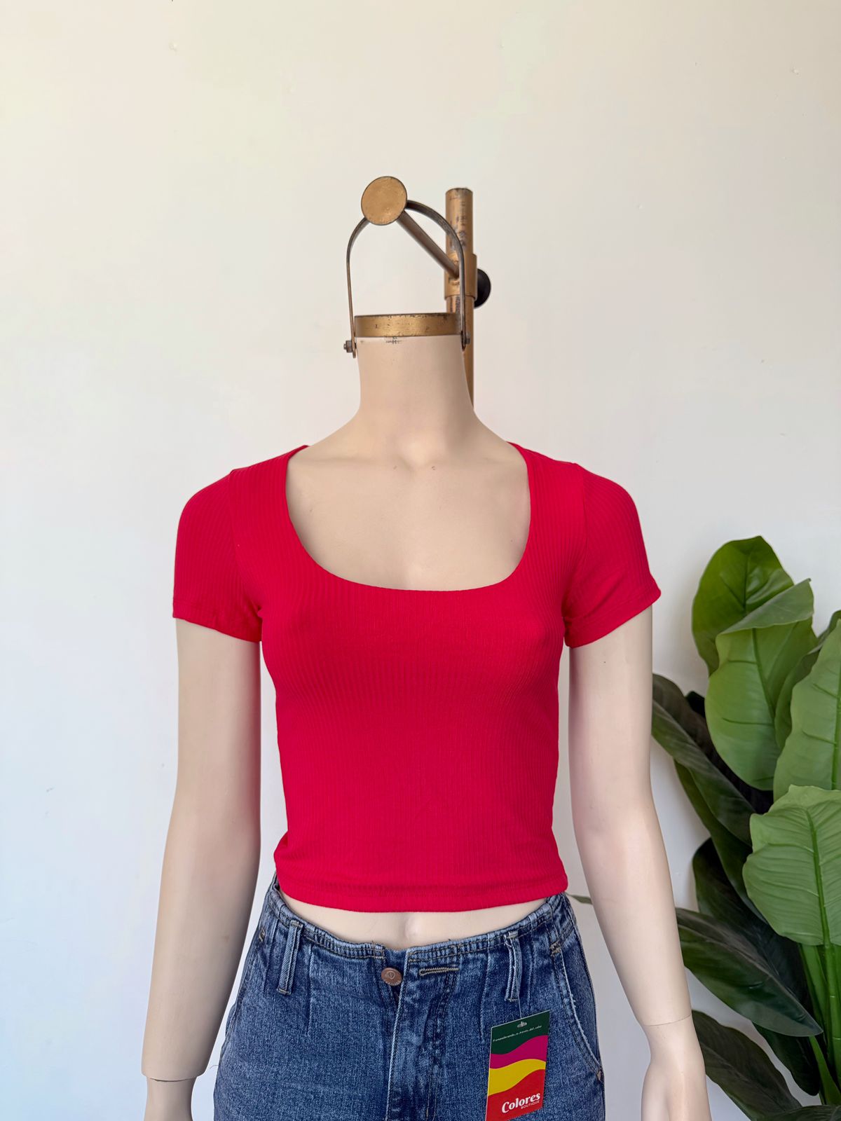 Polo monica