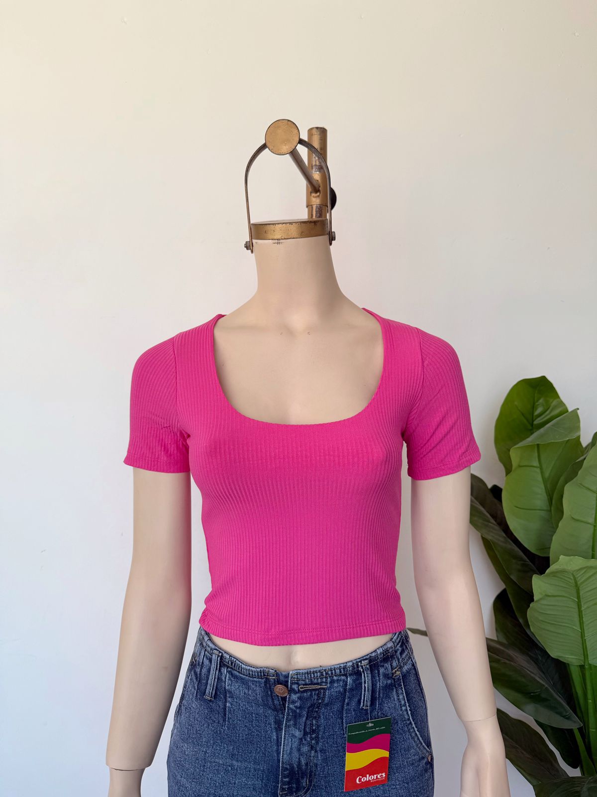Polo monica