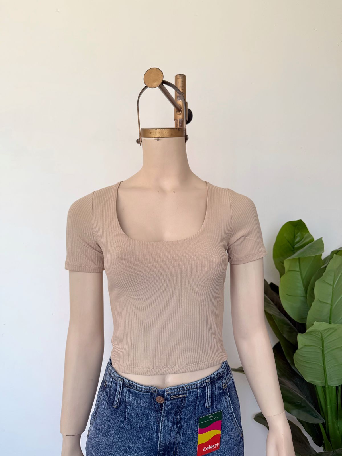 Polo monica