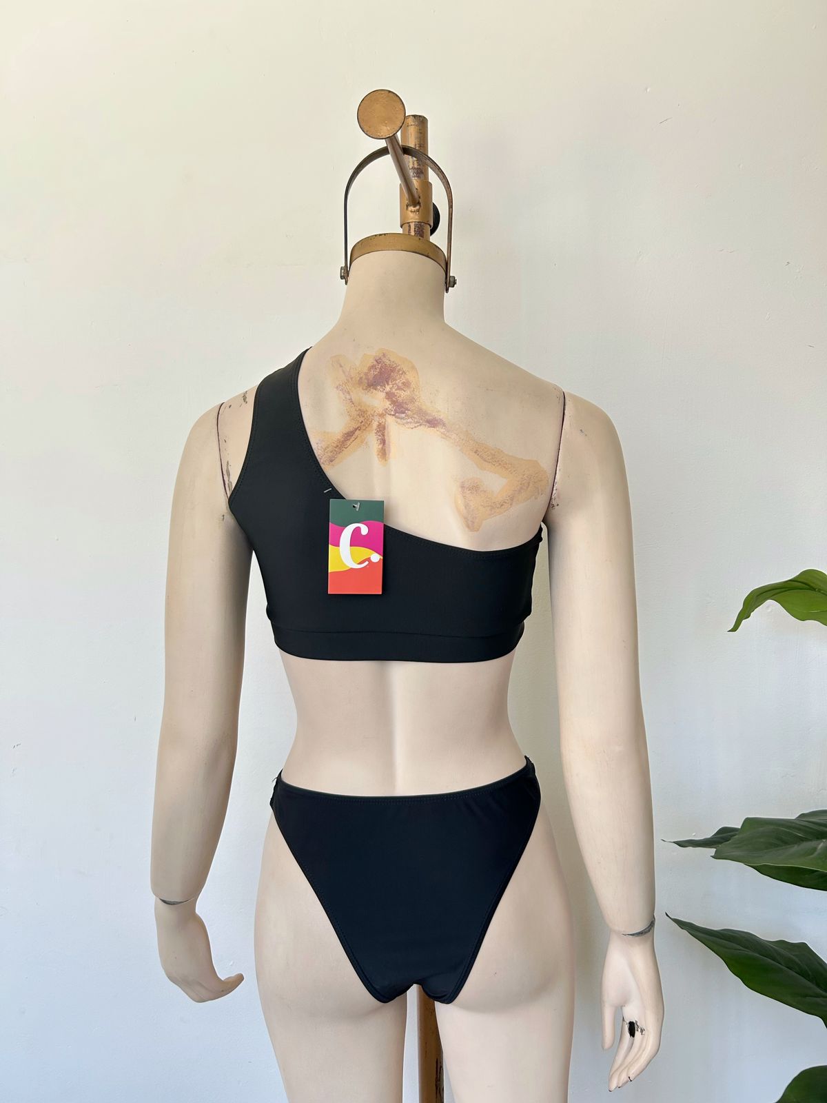Conjunto de bikini