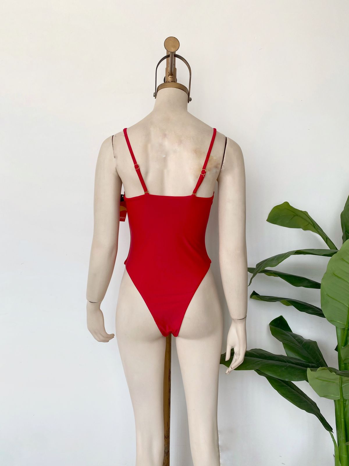 Bikini isabel