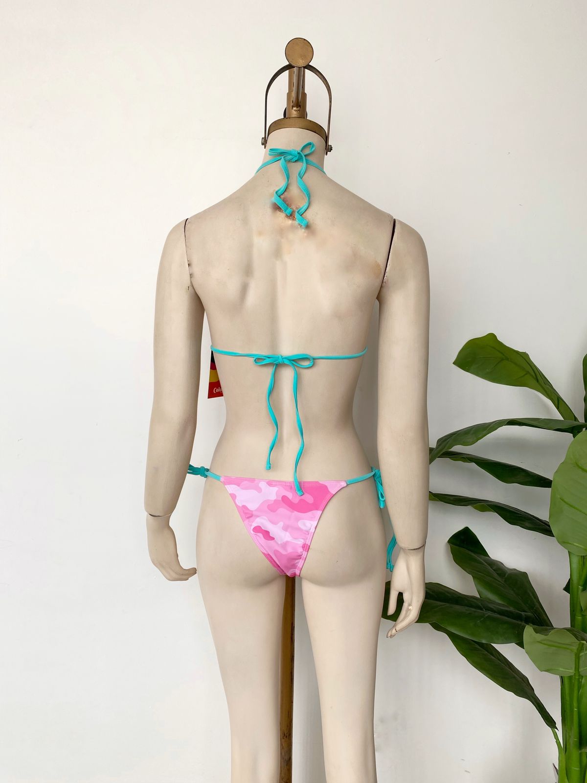 Bikini bicolor