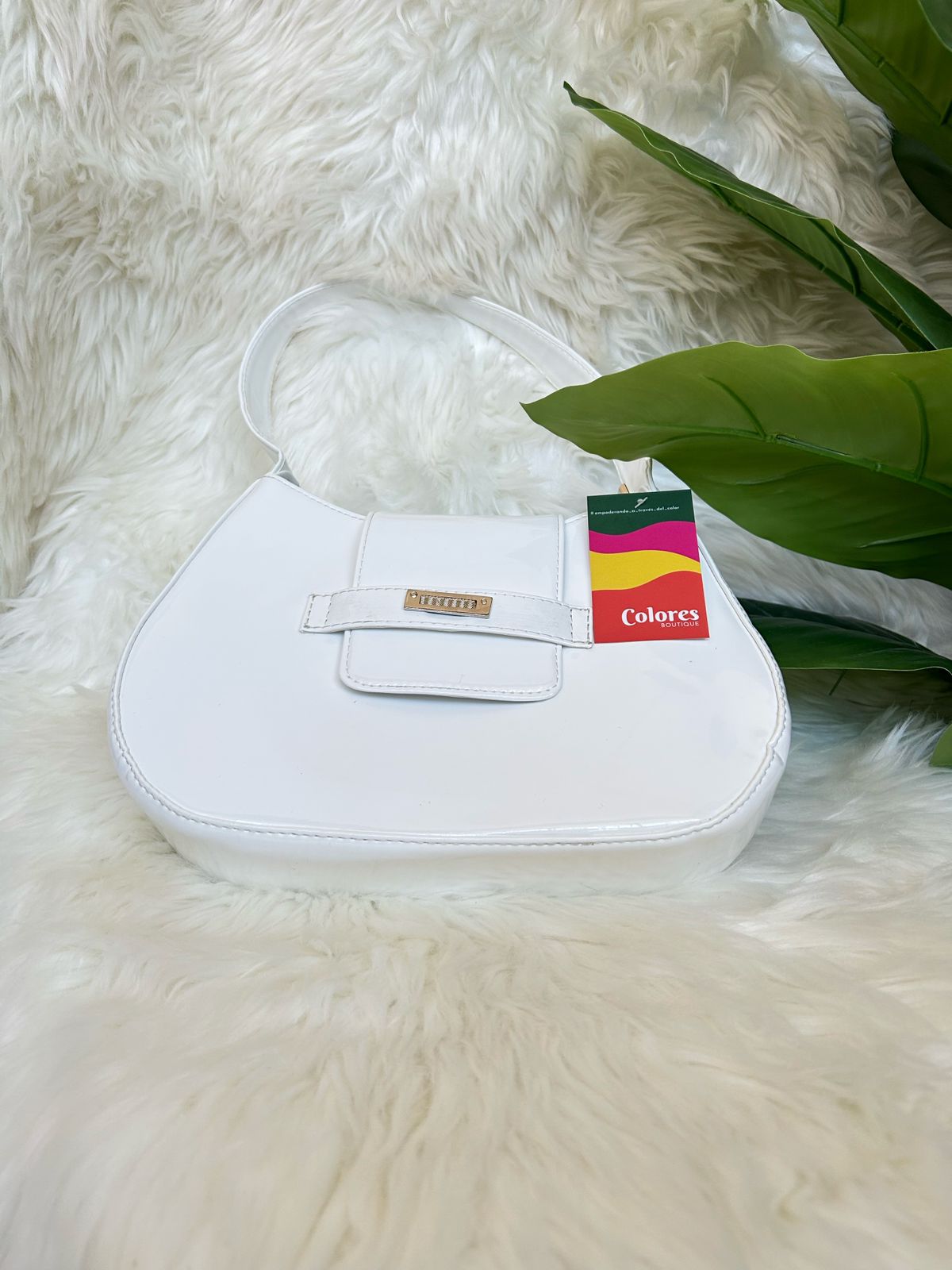 cartera Saanvi