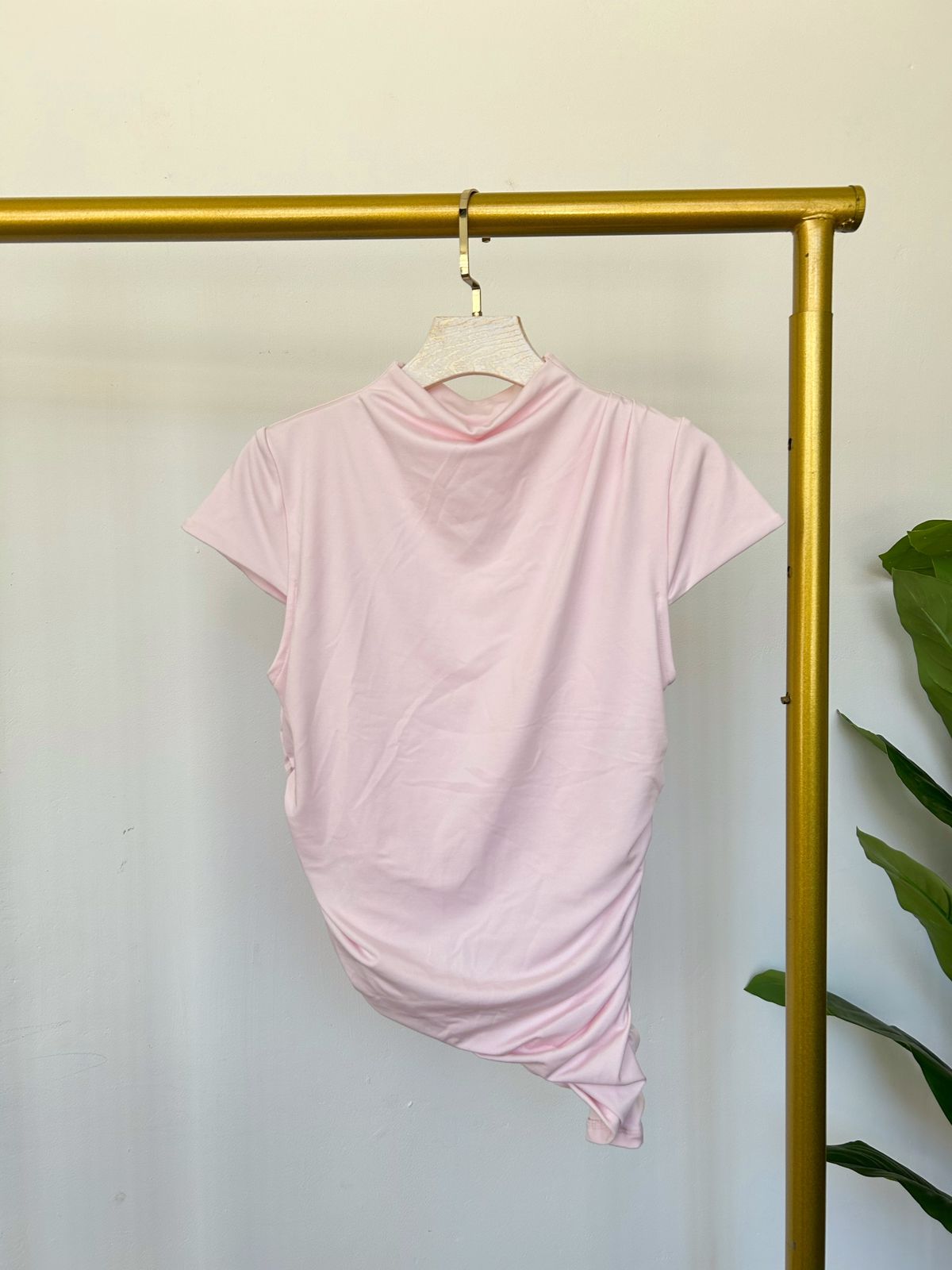 Polo Celeste