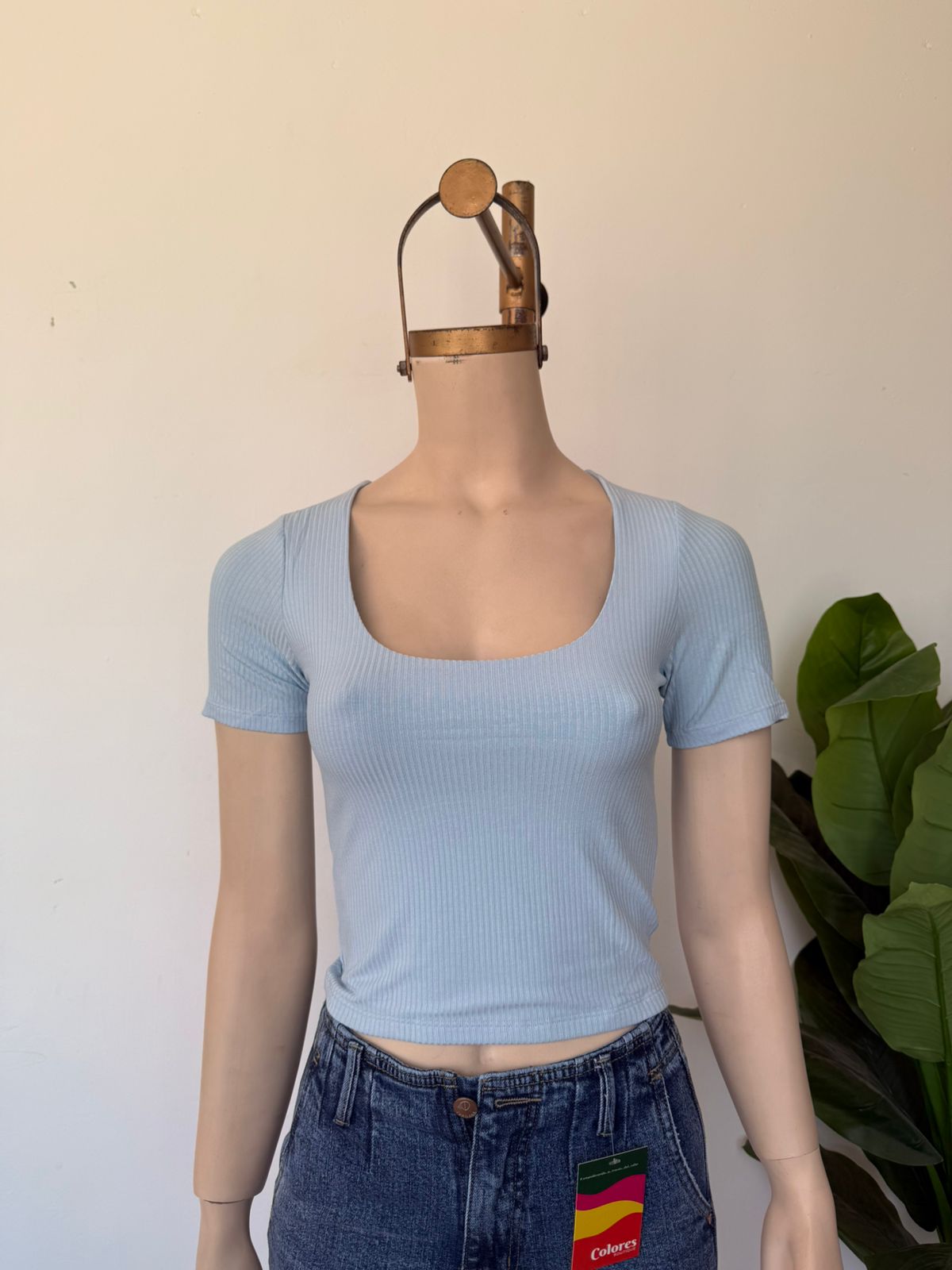 Polo monica