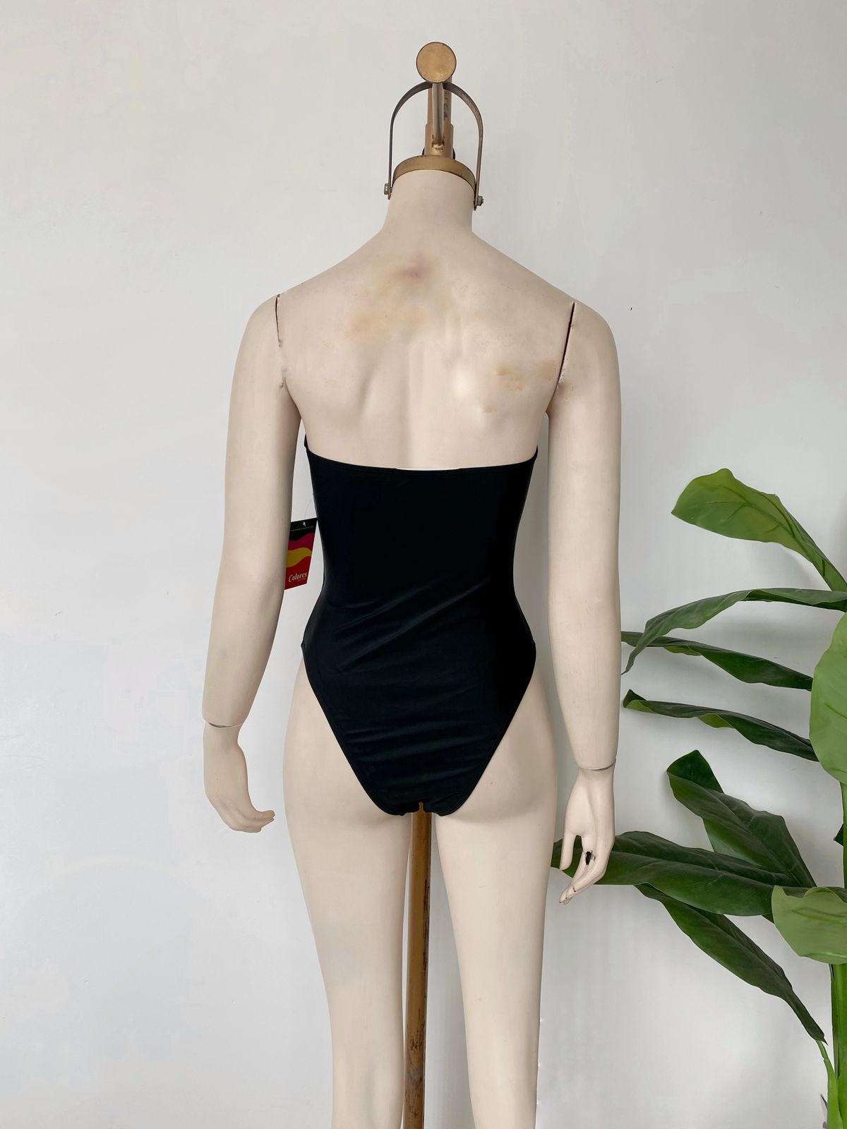 Bikini de aro