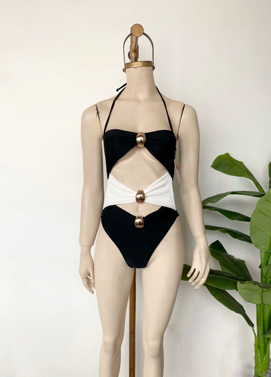 Bikini de aro