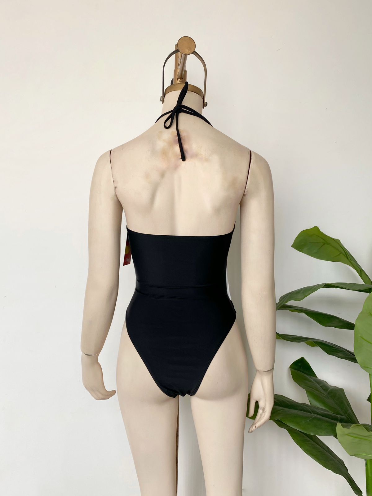 Bikini de aro